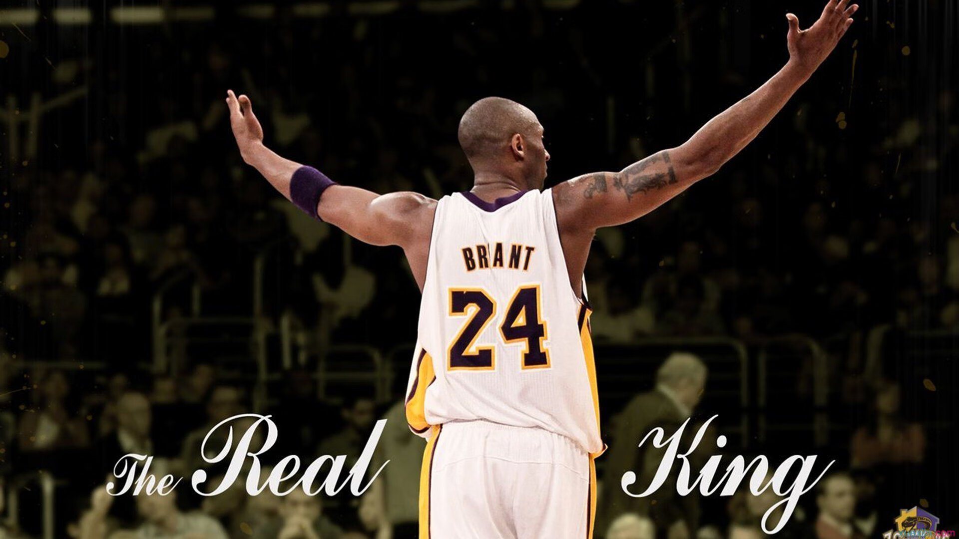 世界杯：多款足球训练APP以冠军队战术为模板更新训练课程